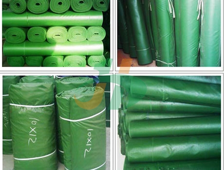 渝中区成人版香蕉视频